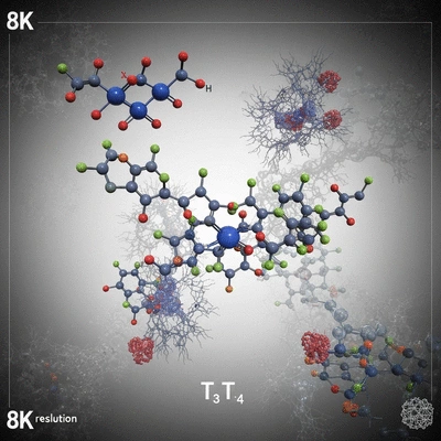 Scientific representation of thyroid hormones regulating metabolism with T3 and T4 molecules